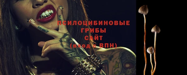 ALPHA-PVP Алексеевка