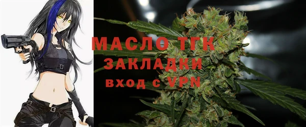 шишки Елизово