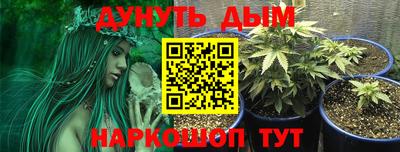 крисы Донецк
