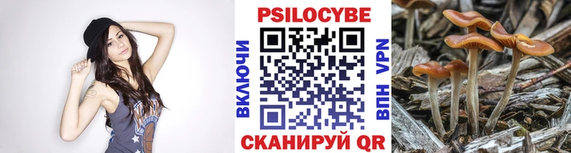 Галлюциногенные грибы Cubensis  кракен рабочий сайт  Мыски 
